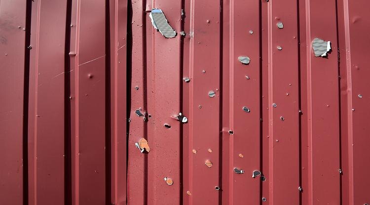 Фото: Елена Журавлёва (архив)