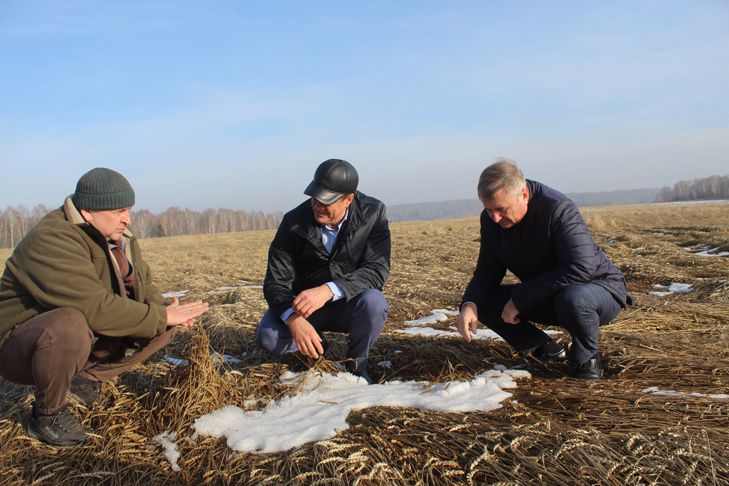    Иван Михайлапов, Виктор Лоханов и Юрий Саблин. Фото автора