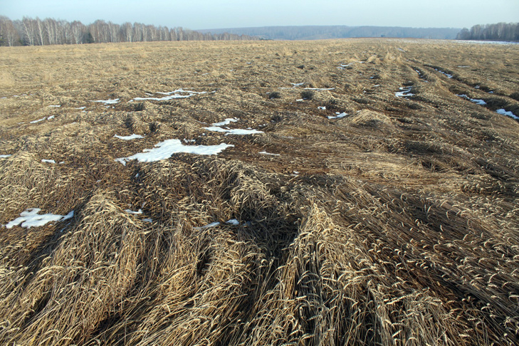 © Фото VN.ru.📷
