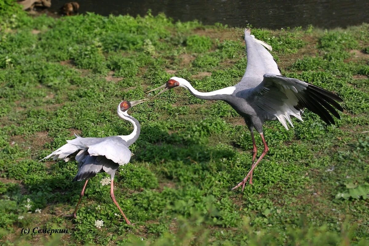 Фото с сайта: https://semerkin.ru/more/praha/praha6.htm