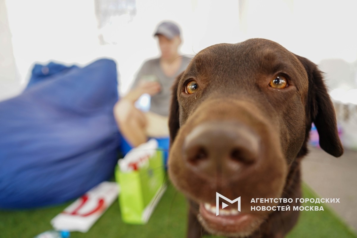 Фотограф: Александр Авилов