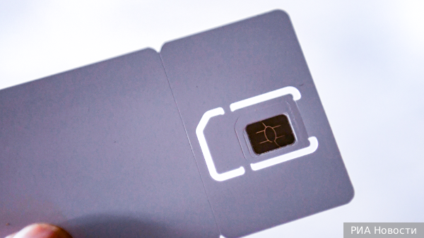     Фото: РИА Новости   
 Текст: Вера Басилая