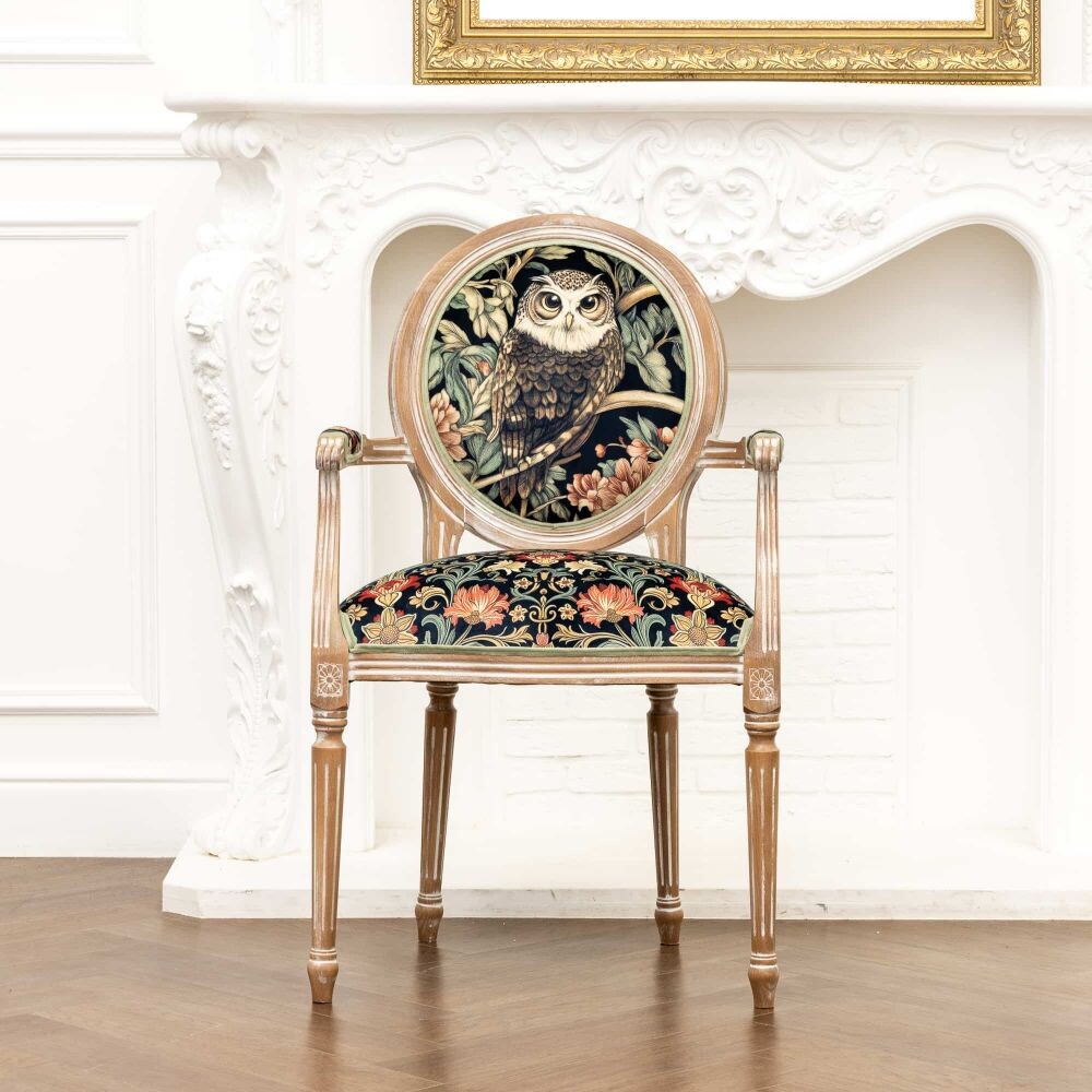 Кресло (стул с подлокотниками) «Бал сказок. Сова»