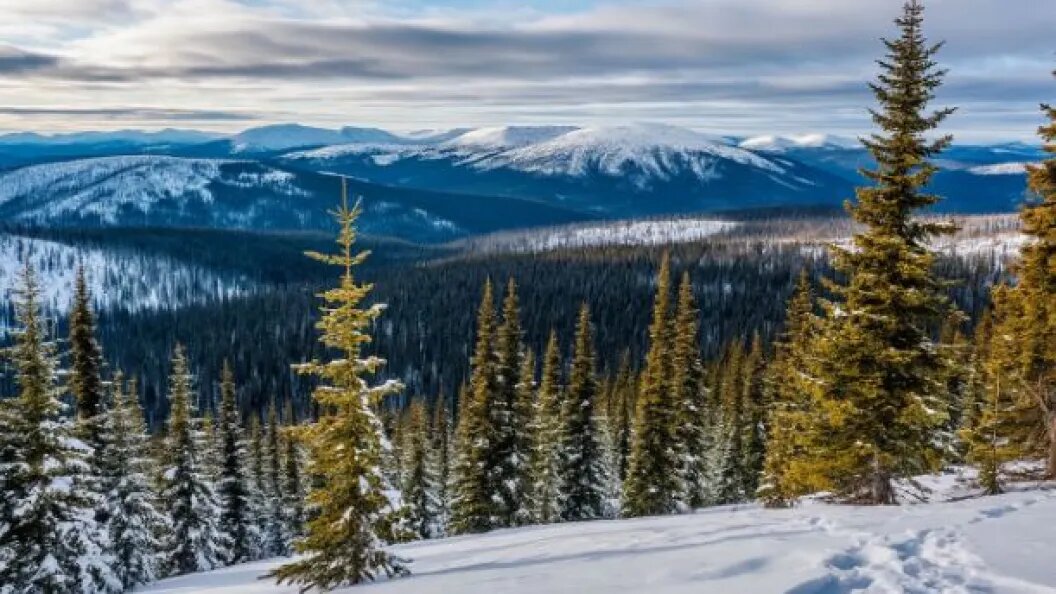    коллаж Царьграда