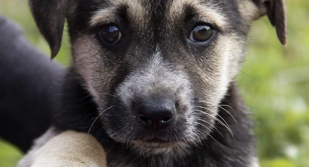 Всего год на счастье...💔