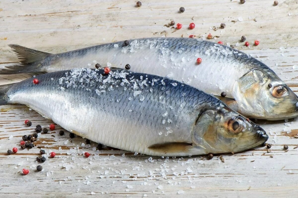 Фото с сайта: https://vazhnoznat.com/seld-pryanogo-posola/