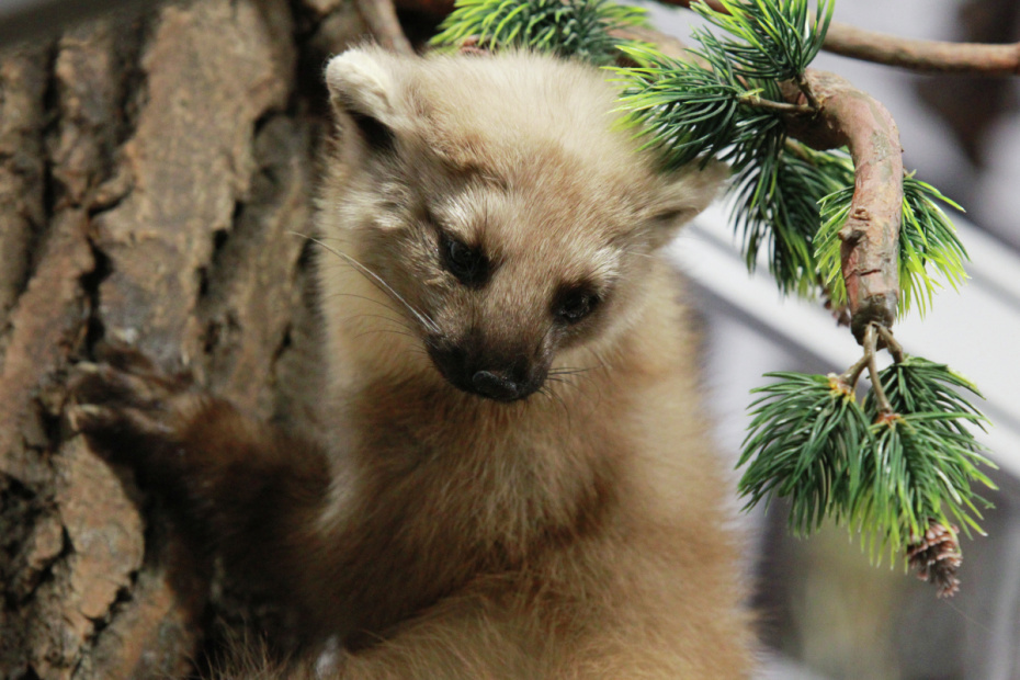    Мария Девахина/РИА Новости
