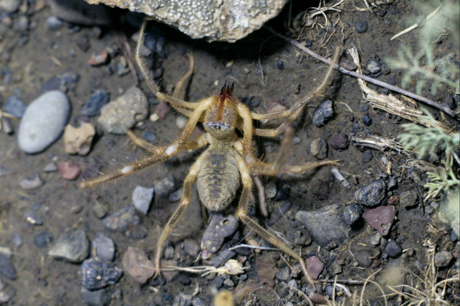    W. Layer/blickwinkel/Global Look Press