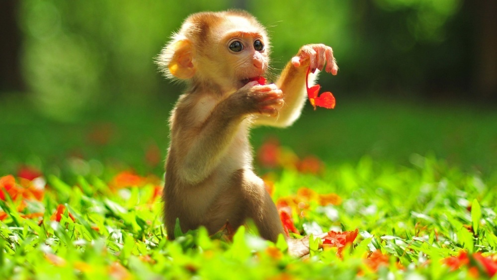     Фото: Gunnerchu/Shutterstock/FOTODOM