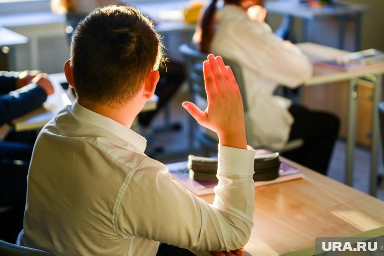     Школьники поколения альфа выкрикивают цифры «6-7» на уроках