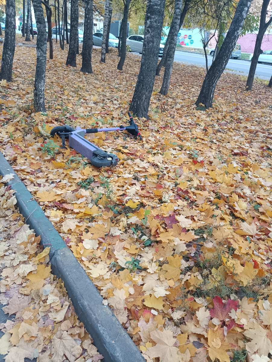 Поздняя осень