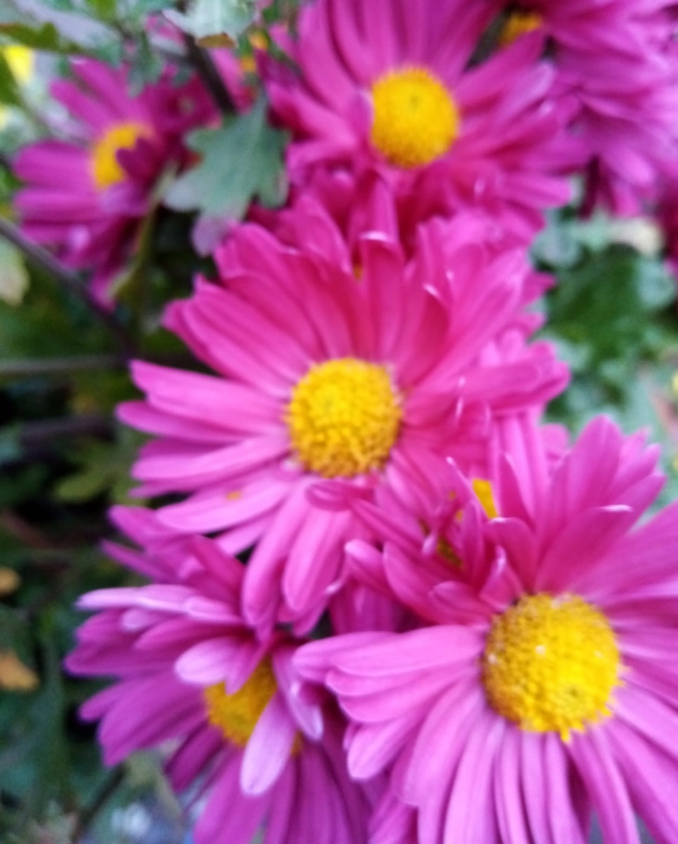 Октябринки