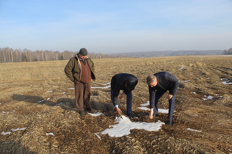   Фото Натальи Кривякиной