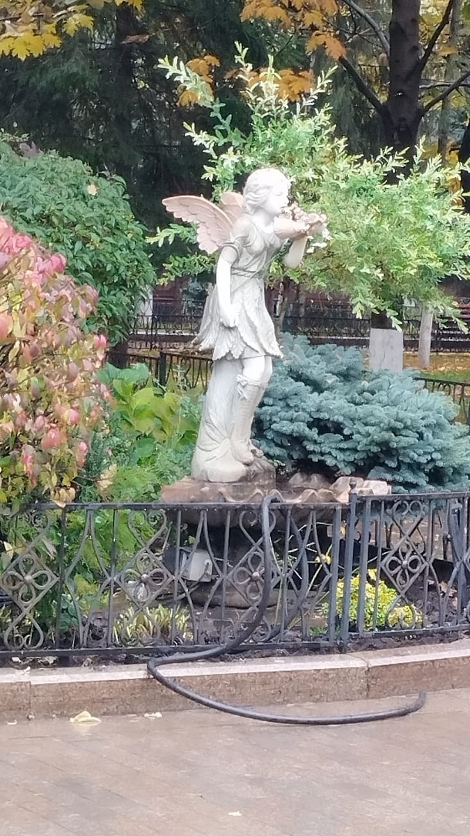 Первая фотография