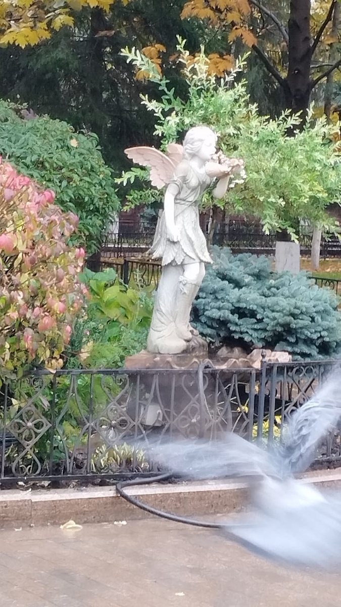 Вторая фотография