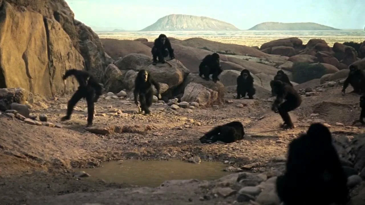 Кадр из х/ф «2001: космическая одиссея», 1968 г., реж. Стэнли Кубрик. 