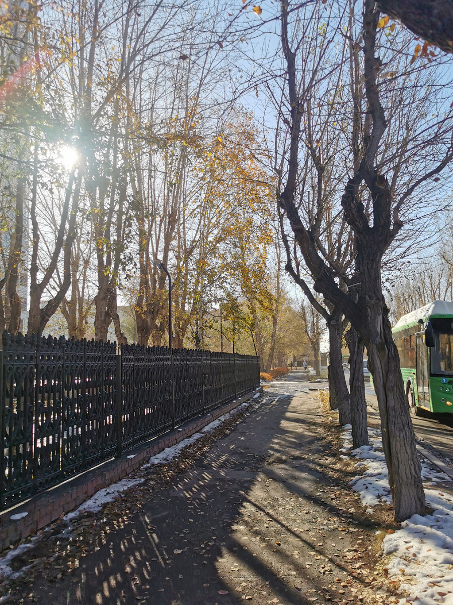 Прошлый год. В середине октября уже был снег.