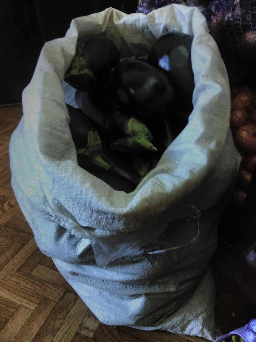 баклажаны с нашей  дачи-фото автора