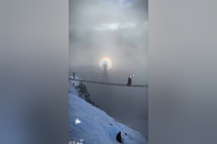    Фото: соцсети