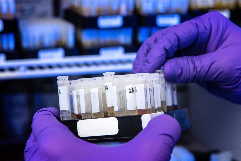    Фото © Unsplash.com