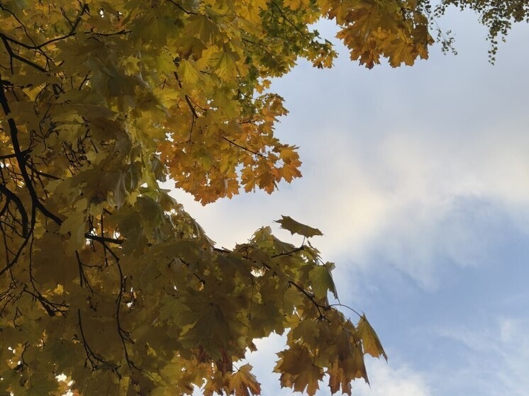     Зона работ расположена недалеко от пересечения Приморского шоссе и 2-го Балтийского переулка. Фото: архив МК в Питере