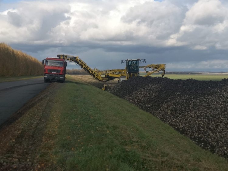    Фото: Минсельхоз Пензенской области