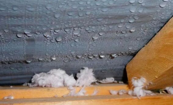 Вот так выглядит классический конденсат под крышей