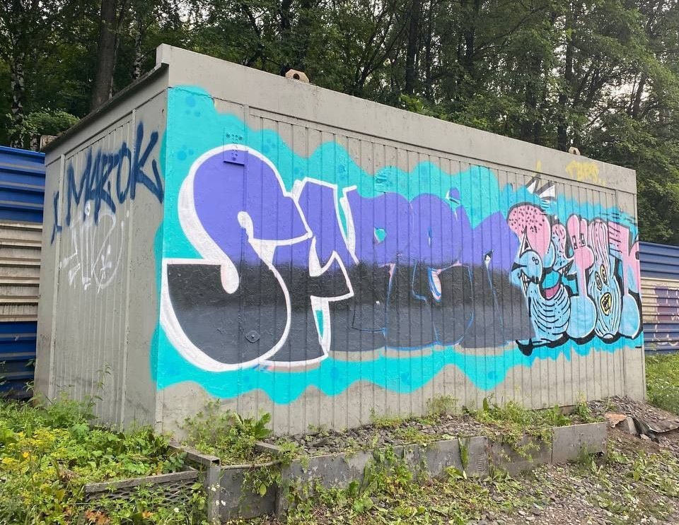    © Пермский линейный отдел МВД России на транспорте