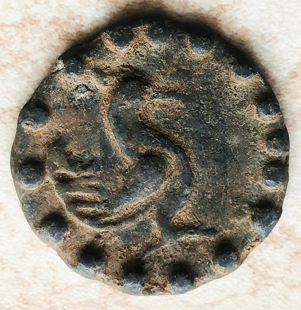 Фото автора. 