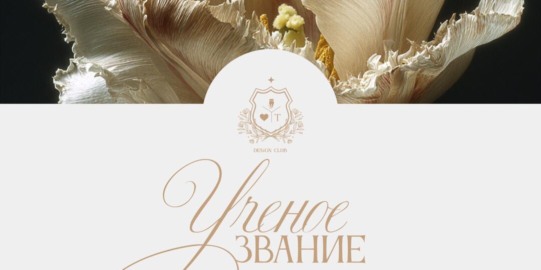 Тебе не нужно учёное звание, чтобы стать дизайнером