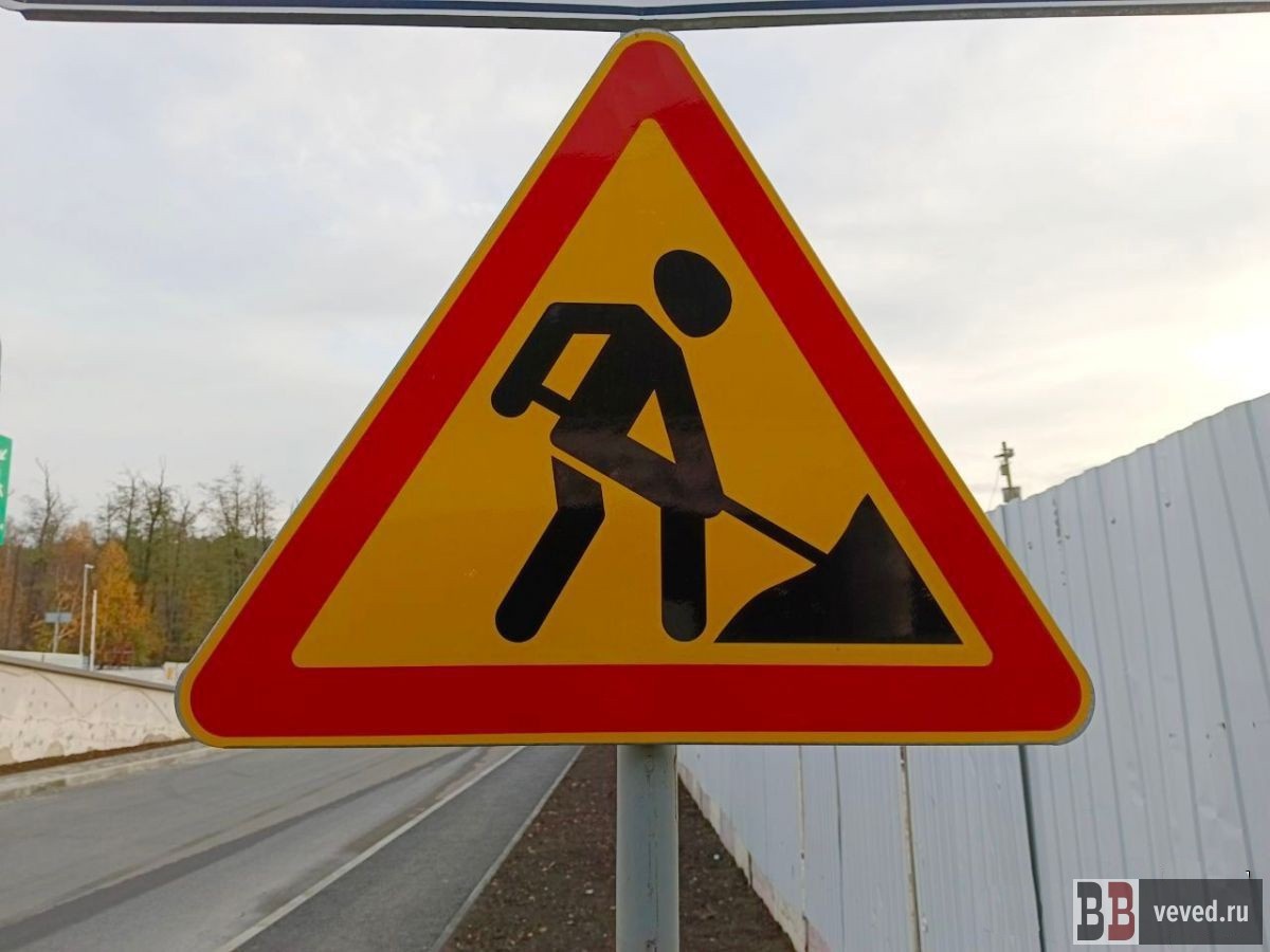     Фото: Юлия Кольтенберг / Вечерние ведомости