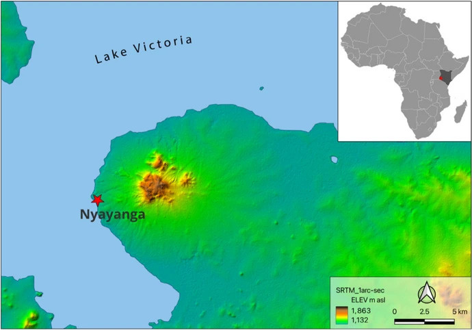   Isabella Caricola et al. / Journal of Archaeological Method and Theory, 2025