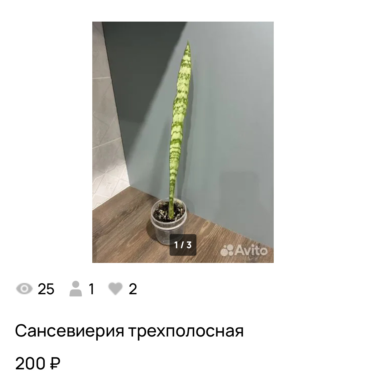 Фото автора.