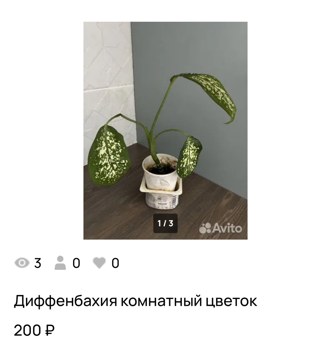 Фото автора.