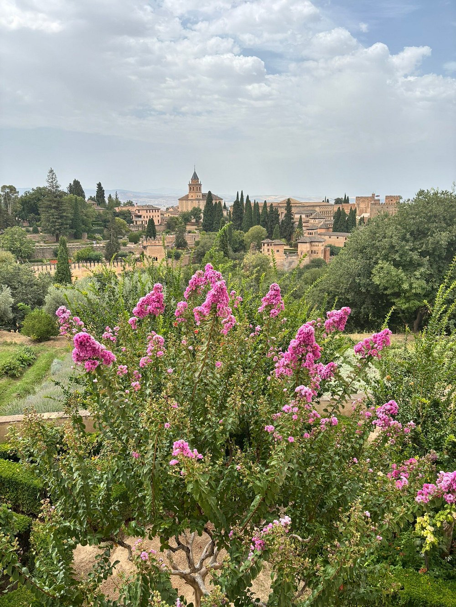 Альгамбра — архитектурно-парковый ансамбль, расположенный на холмистой террасе в восточной части города Гранада в Южной Испании. https://www.tripadvisor.ru/Attraction_Review-g187441-d191078-Reviews-The_Alhambra-Granada_Province_of_Granada_Andalucia.html