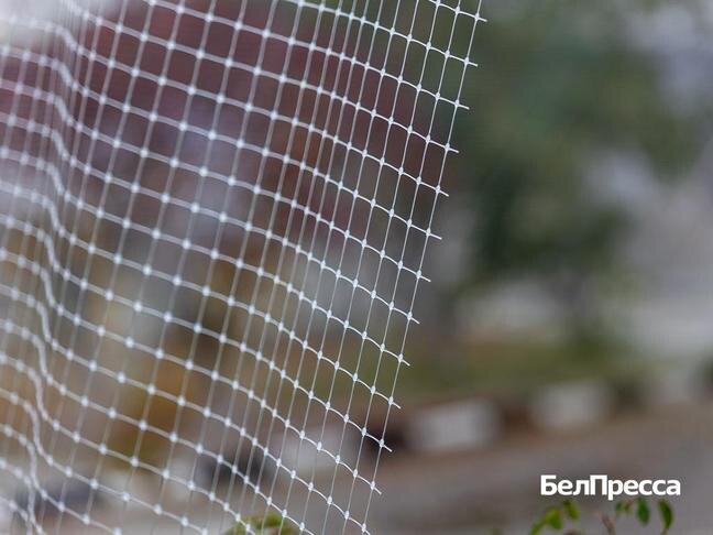 Фото: Алексей Дацковский