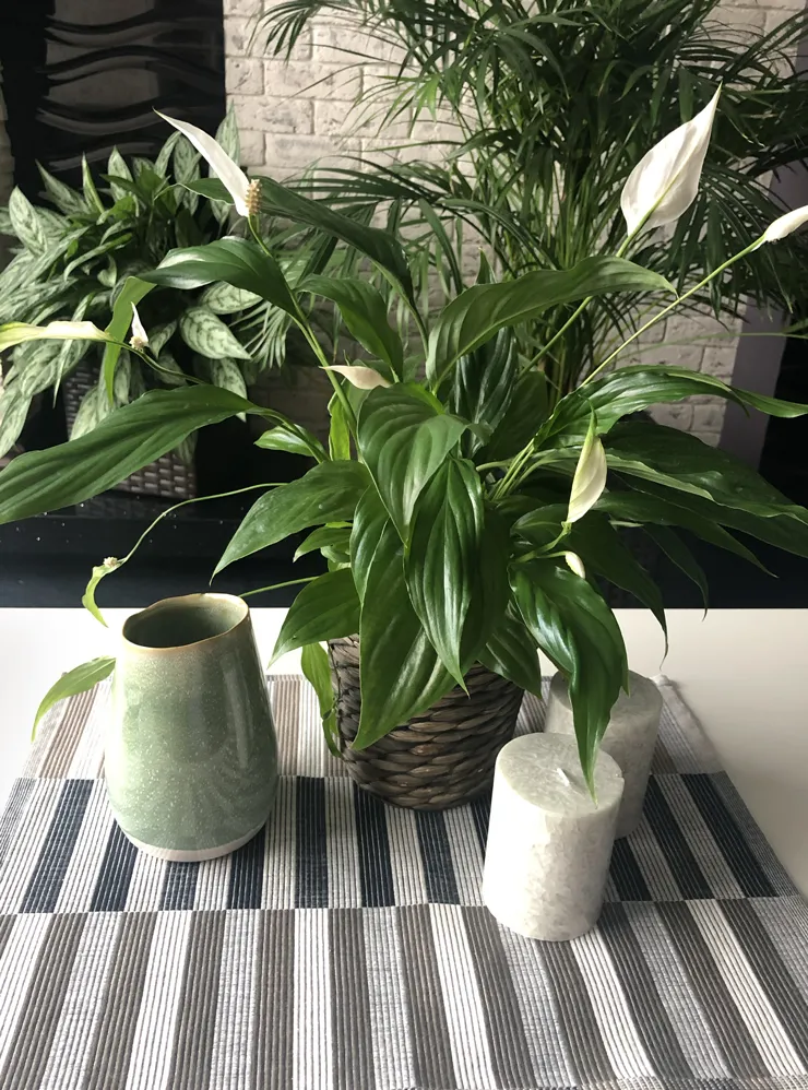 Он не займет много места на столе