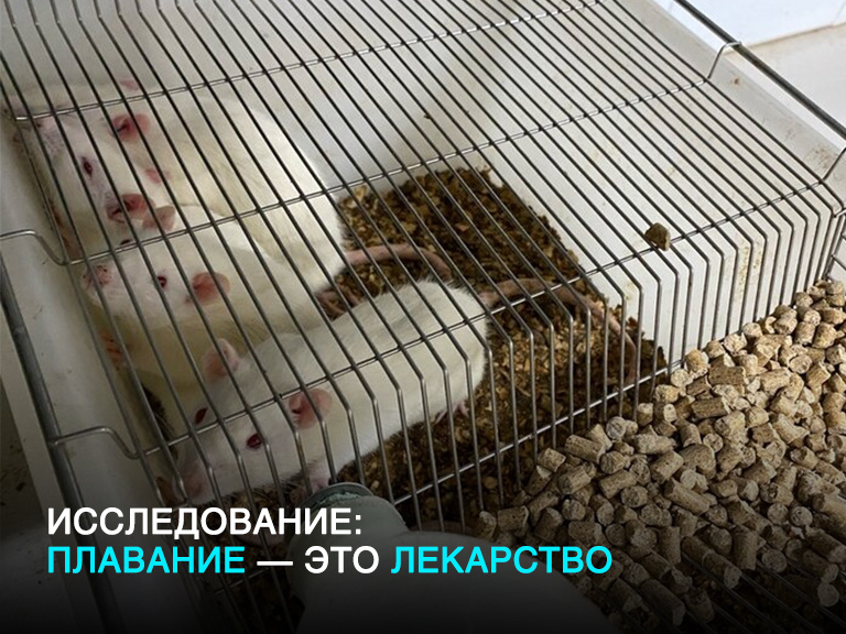 Источник фото: ТГУ