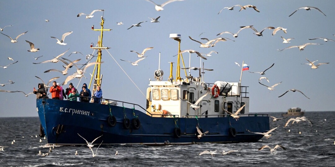 Средиземноморская диета для избранных. Как селедка с минтаем превратились в деликатес