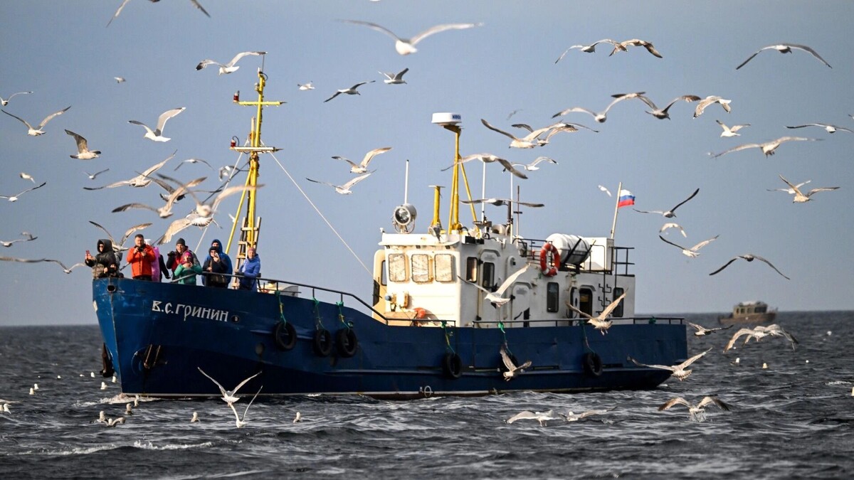 В России не хватает рыболовецких судов. Фото: Лев Федосеев/ТАСС