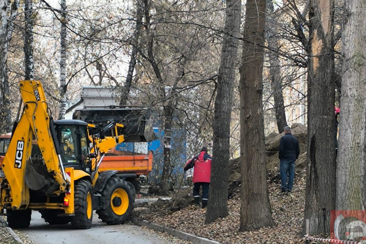    Фото: читатель "Прецедента"
