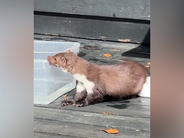    Фото: телеграм-канал "Павел Швец / Винодел"