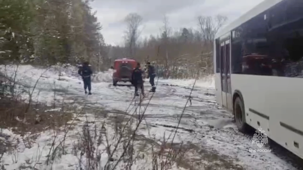    Фото: t.me/mchskrsk