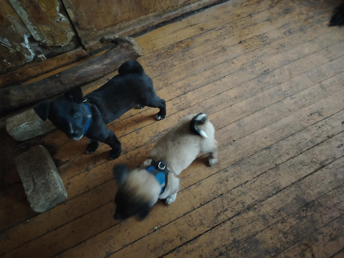 Нафпня и Фаня. Первый дом. 