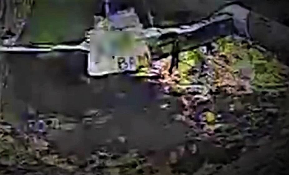     / Источник: Кадр из видео