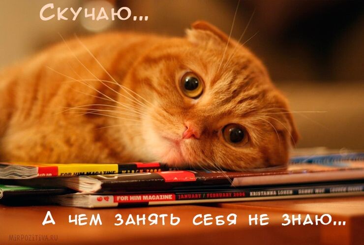 из открытого источника