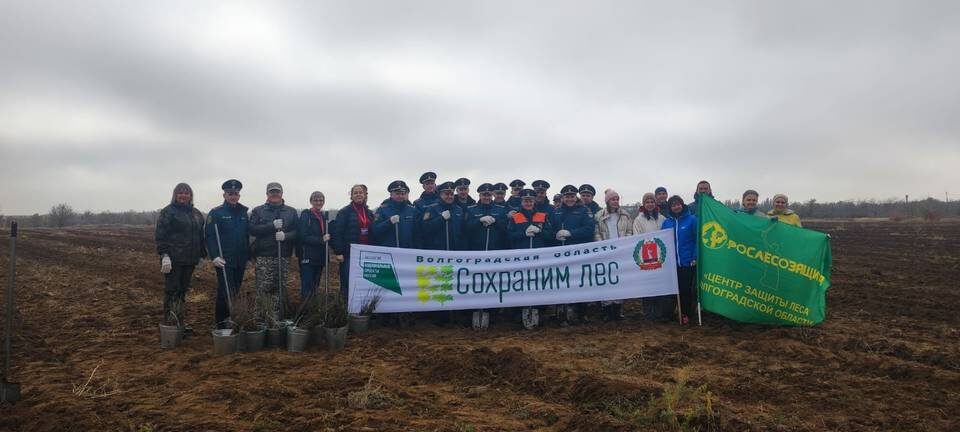    Фото: Центр защиты леса Волгоградской области
