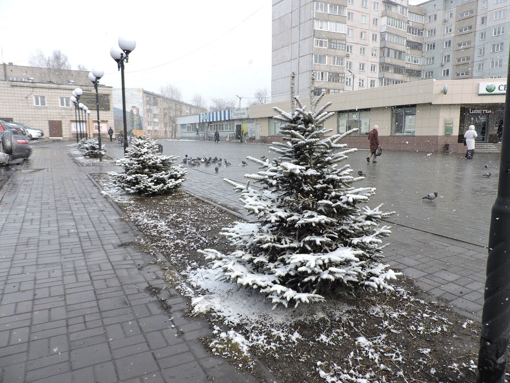    Фотография из архива редакции.