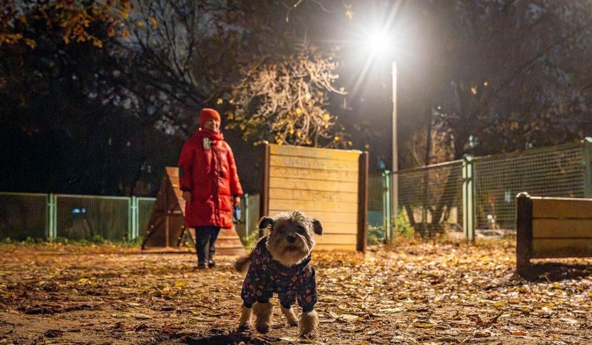     Женщина гуляет с собакой. Источник: mos ru Автор фото: Пресс-служба Мэра и Правительства Москвы