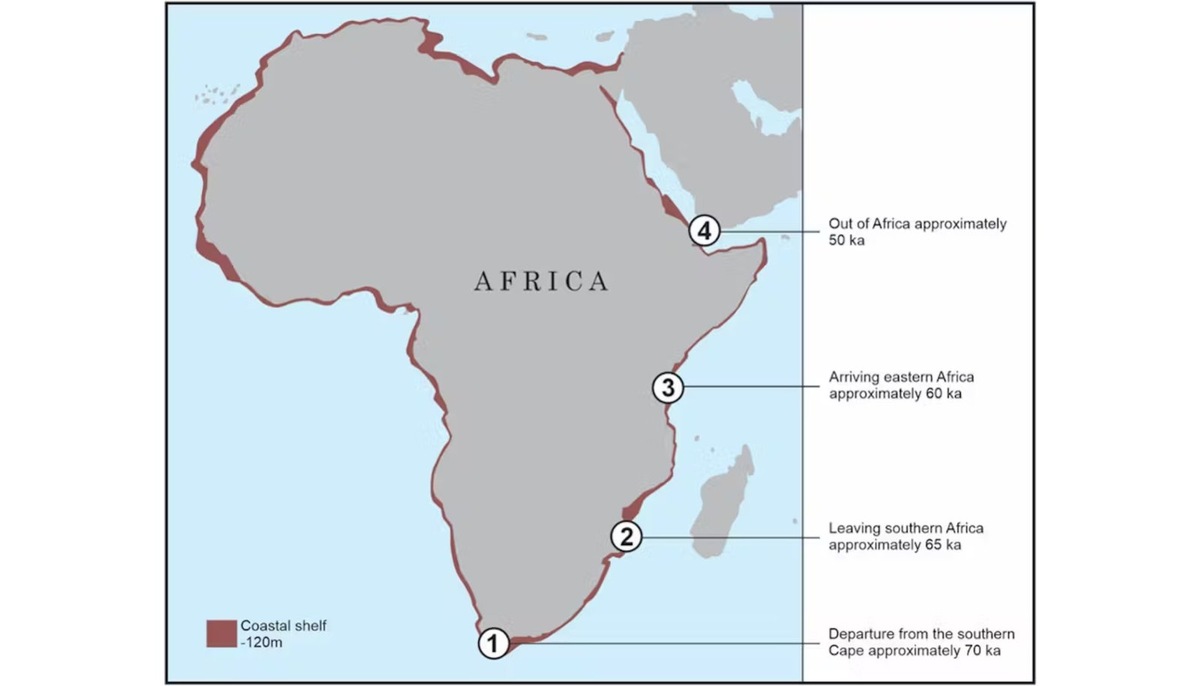    Предполагаемый маршрут миграции первых людей вдоль африканского побережья
